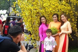 Thành phố Hồ Chí Minh: Phong phú các hoạt động vui đón Xuân Mậu Tuất 2018