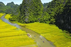 Ninh Bình đón trên 6 triệu lượt du khách