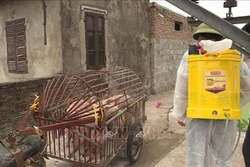 Đồng Nai sẽ hỗ trợ kinh phí tiêm vắc xin cho hơn 20.000 con lợn của các hộ nghèo