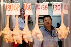 Chủ động phòng chống cúm A(H7N9) xâm nhập vào Việt Nam