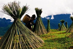 Từ cây lanh đến thổ cẩm