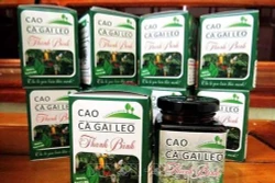 Xây dựng và nâng cao giá trị cây dược liệu cà gai leo ở Quảng Bình