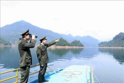 Phấn đấu đến năm 2030, Tuyên Quang là tỉnh hình mẫu phát triển lâm nghiệp