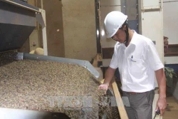 Đắk Lắk mở rộng áp dụng cơ giới hóa trong sản xuất nông nghiệp