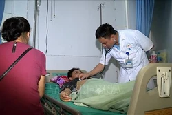 Cảnh báo ngộ độc rượu ngâm củ ấu tẩu