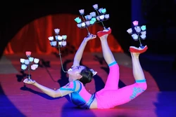 Liên hoan Xiếc quốc tế 2016