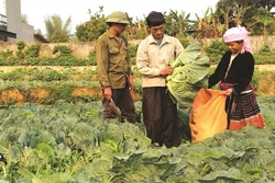 Lai Châu chung sức xây dựng nông thôn mới