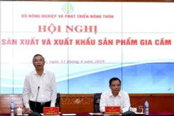 Phát triển chăn nuôi gia cầm hướng tới xuất khẩu