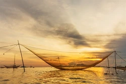 “Giăng lưới mặt trời” ở Cửa Đại