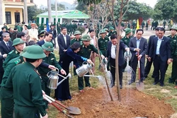 Phó Chủ tịch nước Đặng Thị Ngọc Thịnh tham gia Tết trồng cây tại Hòa Bình