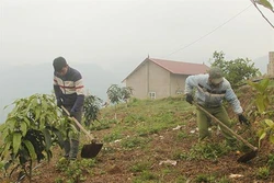 Giảm nghèo ở Mộc Châu