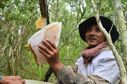 Cà Mau phát triển thương hiệu các sản phẩm chủ lực