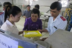 Thành phố Hồ Chí Minh kiểm tra cơ sở cung cấp suất ăn tập thể cho công ty, trường học