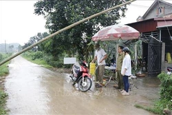 Yên Bái siết chặt phòng chống dịch tả lợn châu Phi