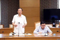 Thứ trưởng Bộ Giáo dục và Đào tạo Phạm Ngọc Thưởng phát biểu. Ảnh: Phạm Kiên - TTXVN 