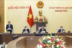 Phó Chủ tịch Quốc hội Nguyễn Đức Hải phát biểu. Ảnh: Doãn Tấn - TTXVN 