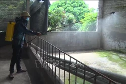 Phun thuốc tiêu động khử trùng khu vực chuồng trại của gia đình ông Lã Anh Hoạt, tổ 11, thị trấn Việt Lâm, huyện Vị Xuyên. Ảnh: Nguyễn Chiến - TTXVN