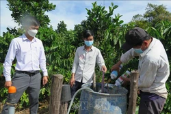 Nông dân pha phân bón vào nước tưới trước khi đưa vào hệ thống tưới tiết kiệm. Ảnh: Dư Toán – TTXVN 
