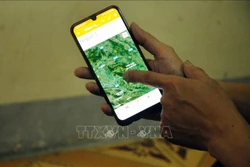 Hạt Kiểm lâm huyện Phù Yên là đơn vị tiên phong trên địa bàn tỉnh Sơn La ứng dụng các phần mềm trong công tác quản lý và bảo vệ rừng. Ảnh: Quang Quyết-TTXVN