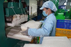 Công đoạn định hình bánh tráng trong dây chuyền sản xuất bánh tráng siêu mỏng, được công nhận sản phẩm OCOP 4 sao. Ảnh: Thanh Tân - TTXVN 