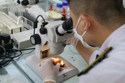 Cán bộ Trạm Kiểm dịch thực vật cửa khẩu Tân Thanh (thuộc Chi cục Kiểm dịch thực vật vùng VII Lạng Sơn) kiểm soát chặt chẽ tất cả các loại nông sản xuất nhập khẩu. Ảnh: Quang Duy – TTXVN 