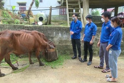 Tạo nguồn, phát triển đảng viên tại khu vực miền núi khó khăn tỉnh Thanh Hóa 