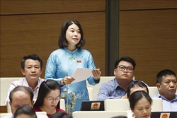 Đại biểu Quốc hội tỉnh Bắc Kạn Nguyễn Thị Huế phát biểu. Ảnh: Doãn Tấn - TTXVN
