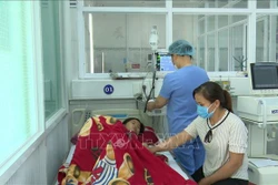 Bệnh nhân đang được điều trị sốt xuất huyết tại Bệnh viện Nhi Gia Lai. Ảnh: TTXVN phát 