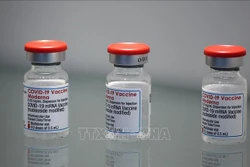 Vaccine phòng COVID-19 của Moderna. Ảnh: AFP/TTXVN 