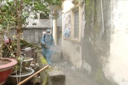 Cán bộ y tế tỉnh phun thuốc diệt muỗi phòng chống dịch bệnh sốt xuất huyết tại hộ dân. Ảnh: Thái Hùng- TTXVN