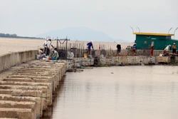 Thi công bờ kè chống sạt lở vàm kênh Cụt, TP. Rạch Giá (Kiên Giang). Ảnh: Lê Huy Hải - TTXVN 