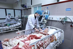 Chăm sóc bệnh nhân là người cao tuổi tại khoa Hồi sức tích cực – Chống độc, Bệnh viện Đa khoa tỉnh Lạng Sơn. Ảnh: Anh Tuấn - TTXVN 