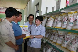 Gạo Phú Thiện ngày càng khẳng định vị thế trên thị thường thông qua kênh sản xuất, chế biến từ Hợp tác xã nông nghiệp Chư A Thai. Ảnh: Hồng Điệp - TTXVN
