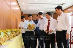 Các đại biểu với sản phẩm tỏi An Thịnh. Ảnh: Thanh Thương- TTXVN 