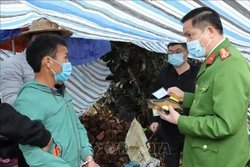 Đối tượng Giàng A Dao bị bắt giữ cùng tang vật khi đang vận chuyển ma túy đi tiêu thụ. Ảnh: TTXVN phát.
