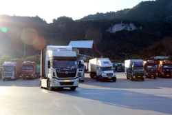 Xe vận chuyển hàng hóa chờ thông quan qua Cửa khẩu Quốc tế Hữu nghị (thị trấn Đồng Đăng, huyện Cao Lộc, tỉnh Lạng Sơn). Ảnh: Văn Đạt - TTXVN 