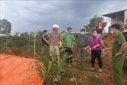 Các cơ quan chức năng xác minh, làm rõ vụ việc. Ảnh: TTXVN phát 
