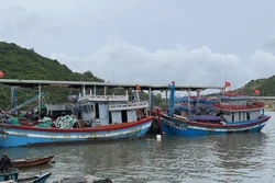 Ứng phó với bão số 4: Bình Định ưu tiên sơ tán người dân sống ven biển, khu vực nguy cơ ảnh hưởng cao