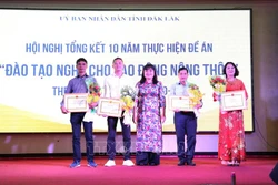 Tặng Bằng khen của Ủy ban nhân dân tỉnh Đắk Lắk cho các cá nhân. Ảnh: Hoài Thu – TTXVN.