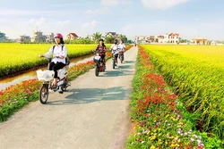 Sửa đổi một số quy định về công nhận địa phương đạt chuẩn nông thôn mới