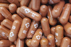 Thuốc viên Molnupiravir chống COVID-19 của công ty dược phẩm Mỹ Merch . Ảnh: TTXVN phát 