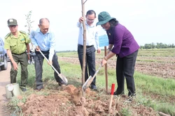 Kỷ niệm Ngày sinh Chủ tịch Hồ Chí Minh: Bến Tre trồng cây nhớ Bác