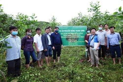 Cán bộ Trung tâm Khuyến nông Quốc gia giới thiệu mô hình trồng rừng gỗ lớn tại huyện Đồng Xuân, tỉnh Phú Yên. Ảnh: TTXVN phát
