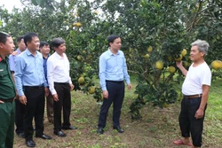 Yên Bái cơ cấu lại ngành nông nghiệp, gắn với xây dựng nông thôn mới