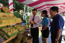 Trưng bày sản phẩm trái xoải của thành phố Cao Lãnh (Đồng Tháp). Ảnh : Nguyễn Văn Trí-TTXVN 