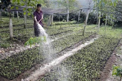 Phó Thủ tướng Lê Minh Khái: Cho vay các chương trình tín dụng ưu đãi kịp thời, đúng đối tượng, tránh trục lợi