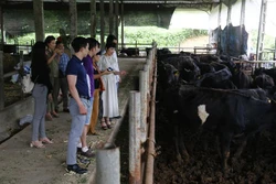 Tuyên Quang tạo cầu nối cho các sản phẩm nông nghiệp sạch