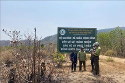Cán bộ kiểm lâm phối hợp với tổ cộng đồng làng Ia Ke, xã Ia Phang (Chư Pưh, Gia Lai) tuần tra bảo vệ rừng trên địa bàn. Ảnh: Hoài Nam – TTXVN