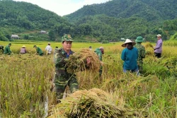 Thanh Hóa phát huy hiệu quả các mô hình “Dân vận khéo” trong xây dựng nông thôn mới