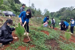 Tuổi trẻ Kon Tum ra quân trồng cây xanh tạo cảnh quan, bảo vệ môi trường sinh thái